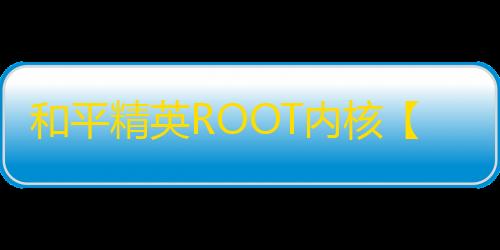 和平精英ROOT内核【Rain】盒平内核-外挂